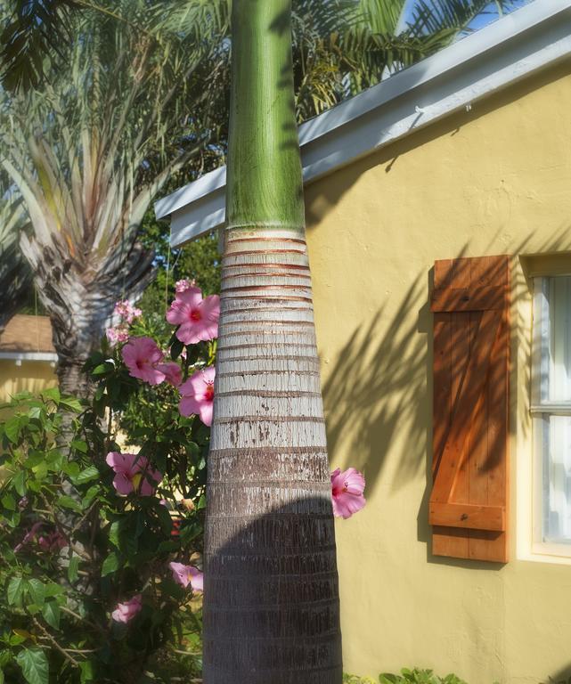 Atlantic Hideaway Hotel Delray Beach Exterior photo