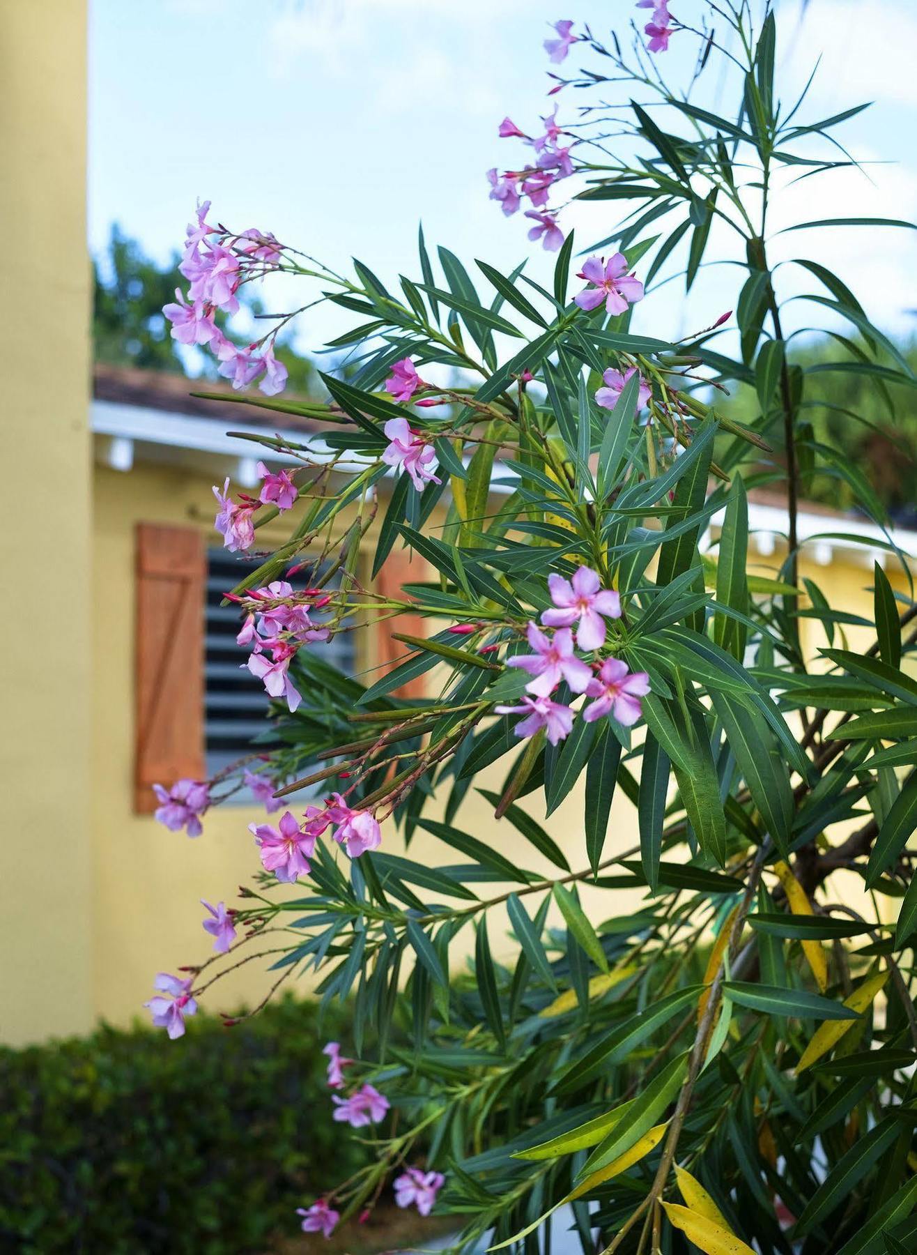 Atlantic Hideaway Hotel Delray Beach Exterior photo