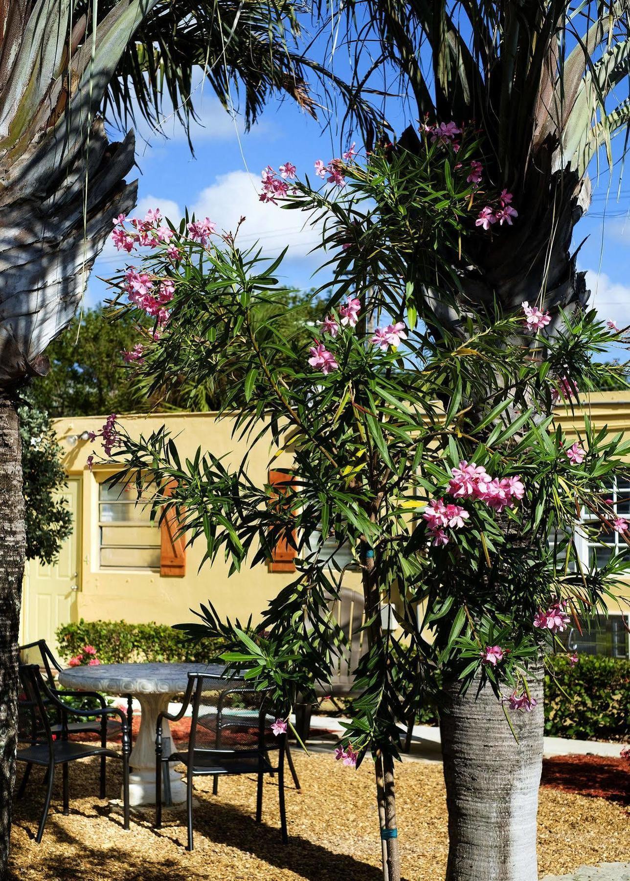 Atlantic Hideaway Hotel Delray Beach Exterior photo